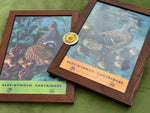 Pair of Original Eley Kynoch Cartridges Showcards