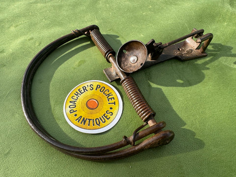 D-shape Egg Baited Spring Trap