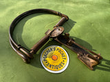 D-shape Egg Baited Spring Trap