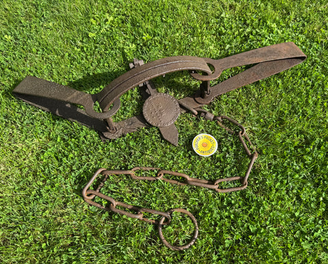 S Newhouse No.5 Bear Trap
