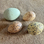 Four Hollow Hand-Painted Birds Eggs