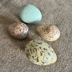 Four Hollow Hand-Painted Birds Eggs