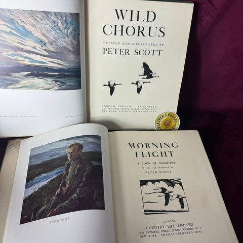 Peter Scott Wildfowling Wild Chorus Morning Flight