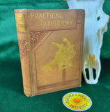 Practical Taxidermy by Montagu Browne, 2nd Ed, 1884