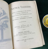 Practical Taxidermy by Montagu Browne, 2nd Ed, 1884