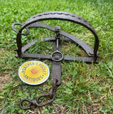 H Lane Maker Egg Baited Trap 7”