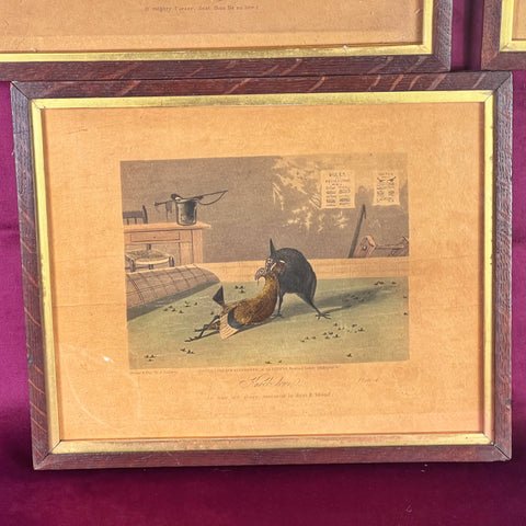 Five Cock Fighting Framed Lithographs 1853 London