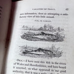 Salmonia or Days of Fly Fishing 1st Ed 1828