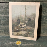 French Lithograph Ferreting Rabbits